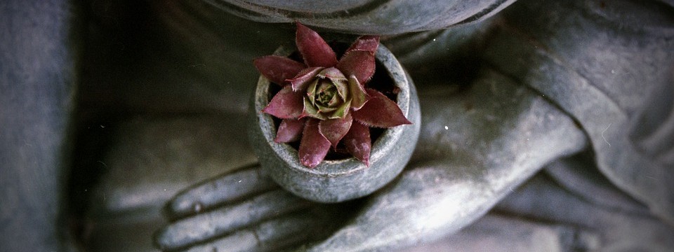 buddha-1277463_960_720